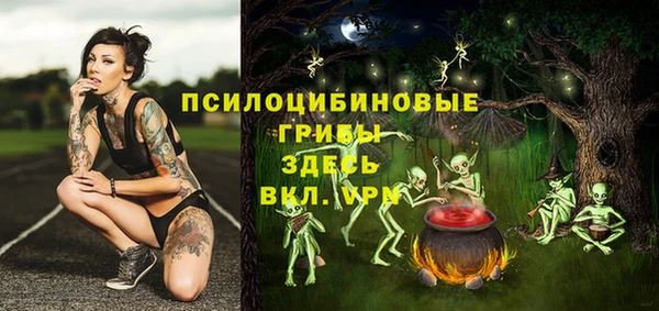 прущая мука Белокуриха
