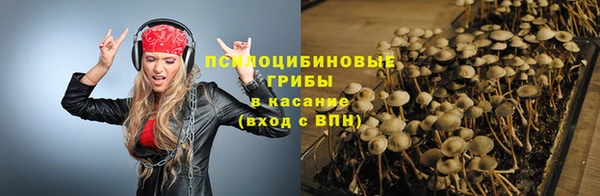 дживик Баксан